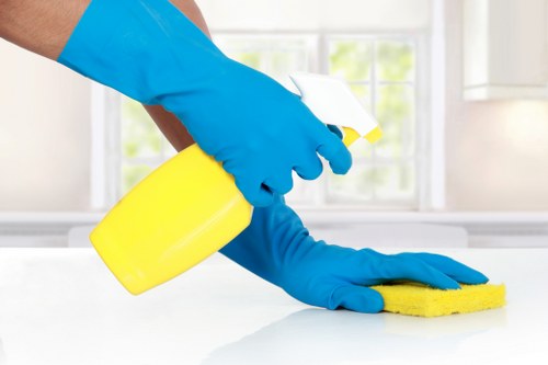 Professional hot water extraction cleaning a carpet