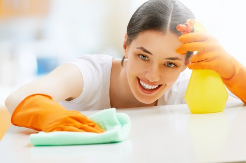 Eco-conscious carpet cleaning service supporting local sustainability
