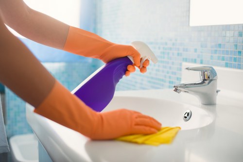 Fresh and clean home after pet stain odour removal