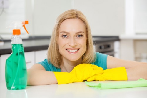 Cleaning pet odours from upholstery in a Sutton home