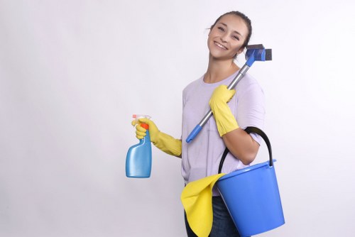 Common household stains on upholstery and rugs in Sutton