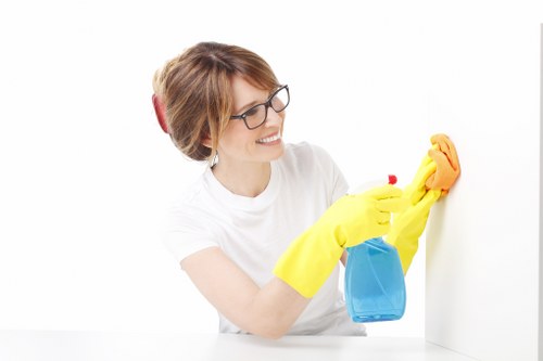Visual for managing cookie preferences on a cleaning service website