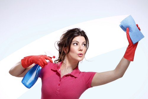 Payment and pricing terms for a professional carpet cleaning service